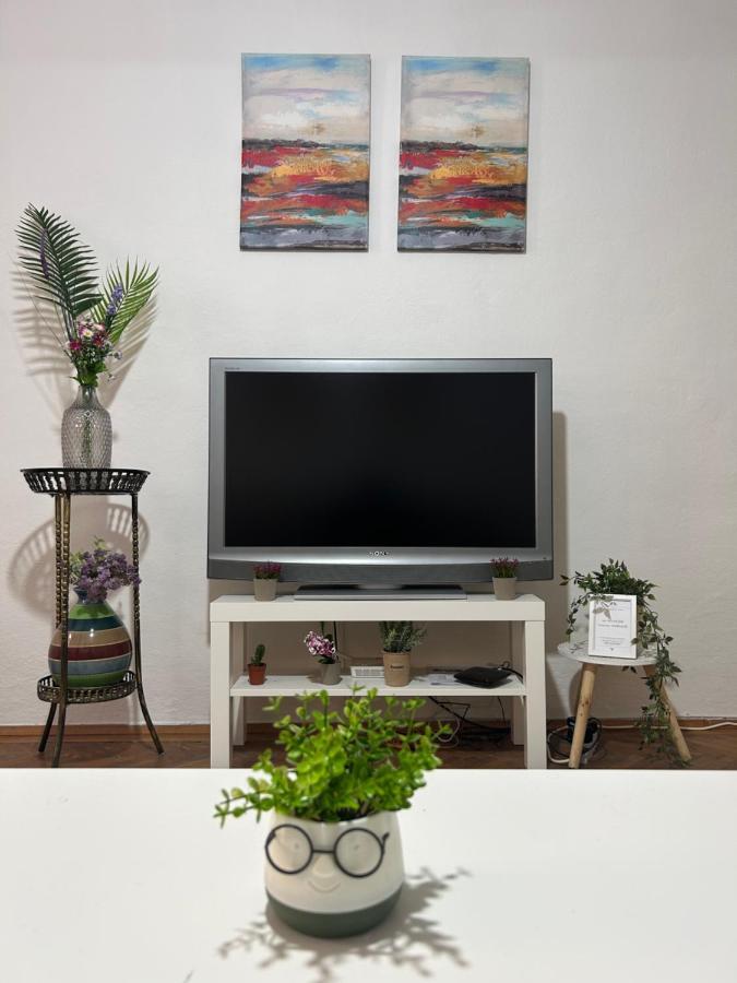 Nf'S Home Lovely Apartment In Heart Of Сараєво Екстер'єр фото