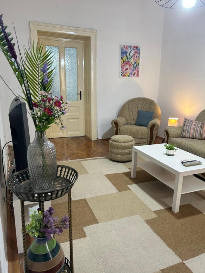Nf'S Home Lovely Apartment In Heart Of Сараєво Екстер'єр фото